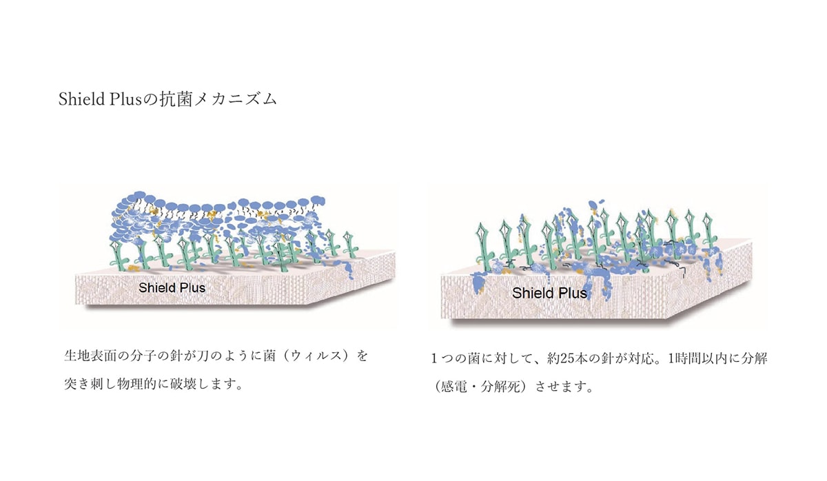 Shield Plusの抗菌メカニズム